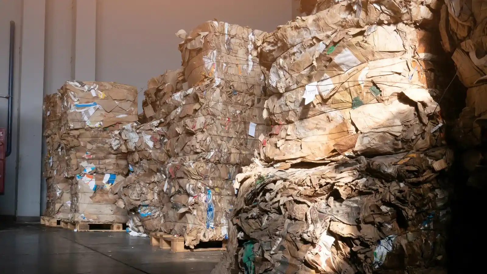 recogida y reciclaje de papel y carton recogida y reciclaje de papel y carton